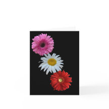 Kleurrijke gemengde bloemendaizia plat notitiekaar