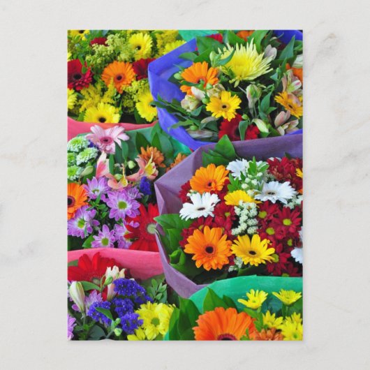 Kleurrijke gerber bloemen print briefkaart (Voorkant)