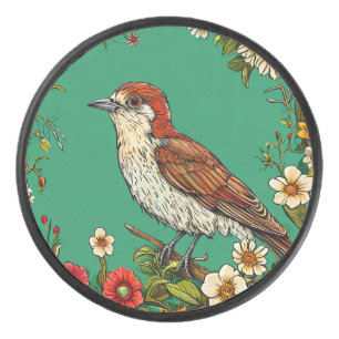 Kleurrijke gewone winterkoning vogel te midden van hockey puck