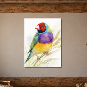 Kleurrijke Gouldian Finch vogel Poster