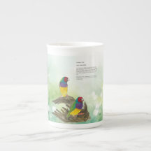 Kleurrijke Gouldian Finch Vogelkleuren