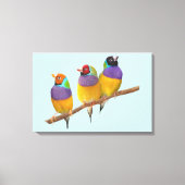 Kleurrijke Gouldian Finches in Pastels Canvas Afdruk (Voorkant)