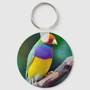 Kleurrijke gouldianfink sleutelhanger