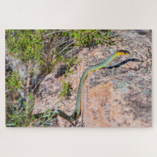 Kleurrijke groene boomslang Australië, 1014 stuks Legpuzzel