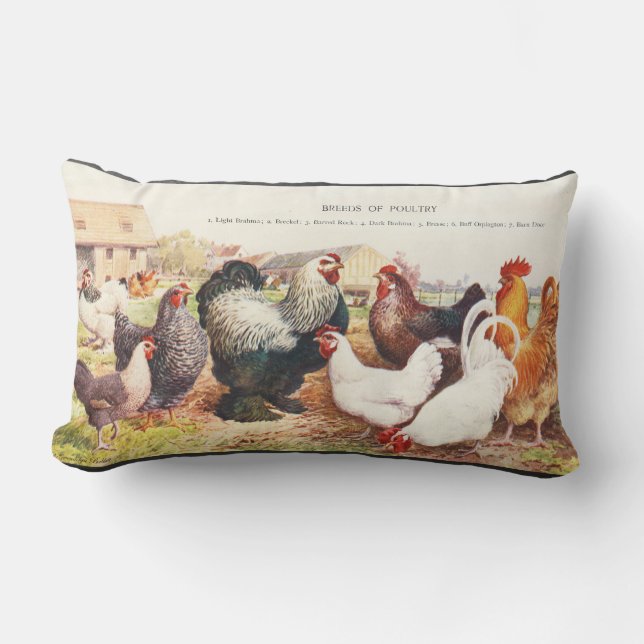 Kleurrijke  groep kippen op de uitwerpkussen kussen (Voorkant)