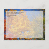 Kleurrijke herfst bomen herfst bruiloft/dank u briefkaart (Achterkant)