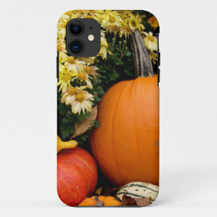 Kleurrijke herfst decoratieve pompoen display iPhone 11 hoesje