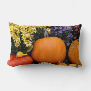 Kleurrijke herfst decoratieve pompoen display kussen