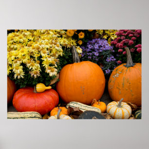 Kleurrijke herfst decoratieve pompoen display poster