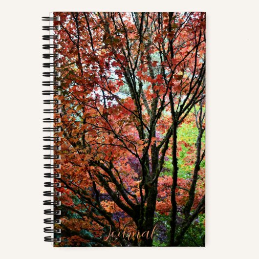 Kleurrijke herfst esdoorn boom notitieboek (Voorkant)