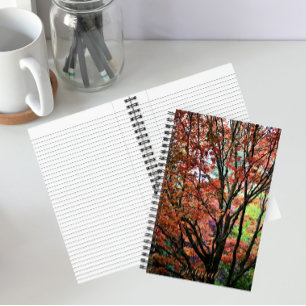 Kleurrijke herfst esdoorn boom notitieboek