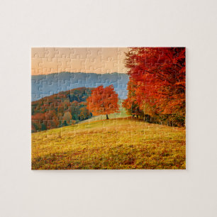 Kleurrijke Herfst herfstboomlandschap Legpuzzel