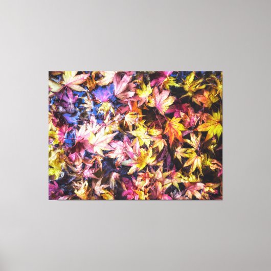 Kleurrijke Herfst Maple Bladeren In Water Canvas Afdruk (Voorkant)