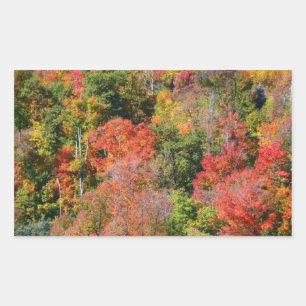 Kleurrijke herfst natuur fotografie op een helling rechthoekige sticker
