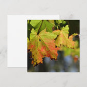 Kleurrijke herfstbladeren (Voorkant / Achterkant)