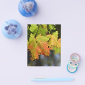 Kleurrijke herfstbladeren flyer (Enkel)