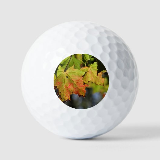 Kleurrijke herfstbladeren golfballen (Voorkant)
