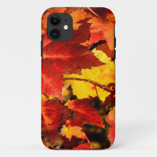 Kleurrijke herfstbladeren, goud rood oranje esdoor iPhone 11 hoesje