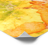 Kleurrijke herfstbladeren. Het omgevallen bladpatr Poster (Hoek)