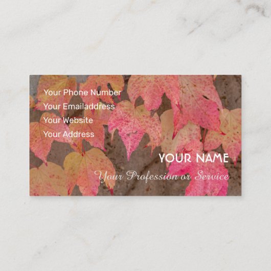 Kleurrijke herfstbladeren in de herfst visitekaartje (Achterkant)