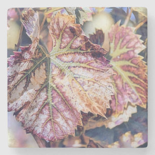 Kleurrijke Herfstbladeren met herfstkleuren waterv Stenen Onderzetter