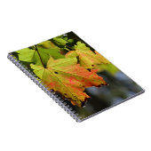 Kleurrijke herfstbladeren notitieboek (Rechterzijde)