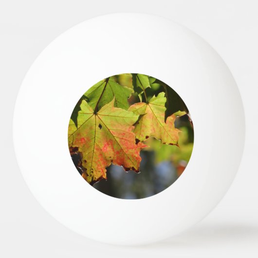 Kleurrijke herfstbladeren pingpongballen (Voorkant)