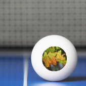 Kleurrijke herfstbladeren pingpongballen (Net)