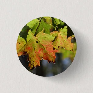 Kleurrijke herfstbladeren ronde button 3,2 cm