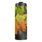 Kleurrijke herfstbladeren thermosbeker (Voorkant)
