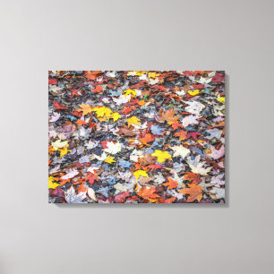 Kleurrijke herfstbladeren uitzicht canvas print