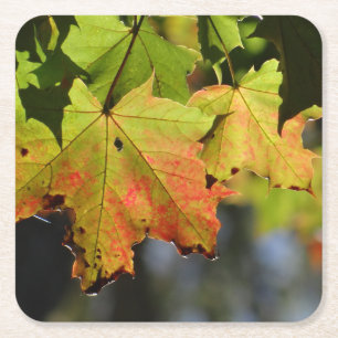Kleurrijke herfstbladeren vierkante kartonnen onderzetter