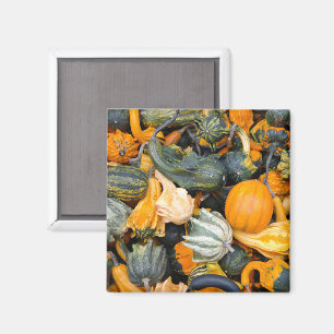 Kleurrijke herfstsquash en pompoenen magneet