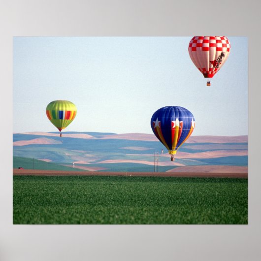Kleurrijke heteluchtballonnen drijven over tarwe poster (Voorkant)