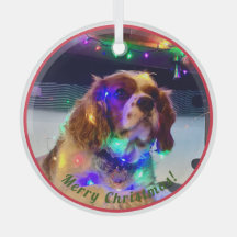 Kleurrijke Hond Kerst Ornament