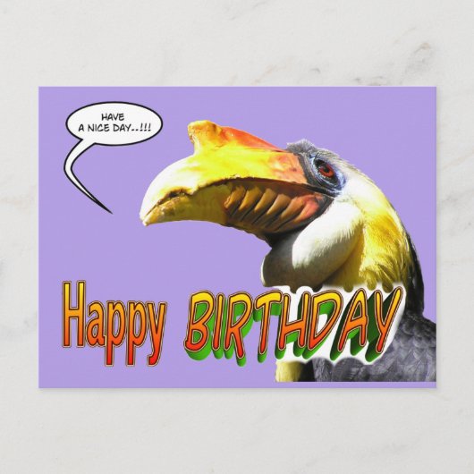 Kleurrijke Hornbill Verjaardag Briefkaart (Voorkant)