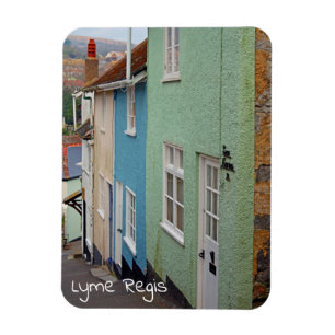 Kleurrijke huizen, Lyme Regis, Dorset, Engeland Magneet