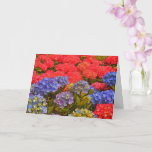 Kleurrijke Hydrangea Flower Garden Art Note Kaart