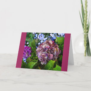 Kleurrijke Hydrangea Flower Kaart