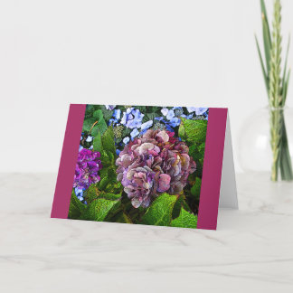 Kleurrijke Hydrangea Flower Kaart