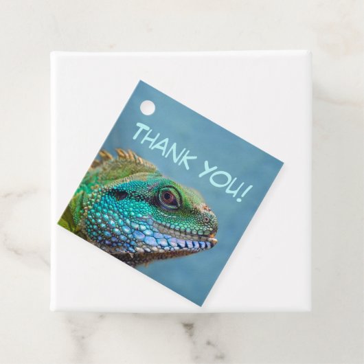 Kleurrijke Iguana dank u Bedankjes Labels (In situ)