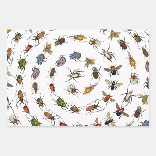 Kleurrijke  insecten & kevers Patroon Inpakpapier Vel (Voorkant 3)