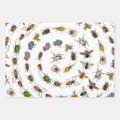 Kleurrijke  insecten & kevers Patroon Inpakpapier Vel (Voorkant)