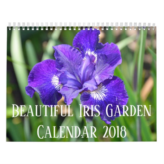 Kleurrijke irisbloemen kalender (Hoes)