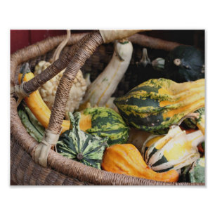Kleurrijke kalebassen in rieten mand herfst 8x10 foto afdruk
