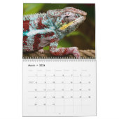 Kleurrijke kameleons 2026 kalender (Mar 2026)