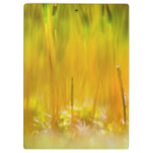 Kleurrijke kiemen klembord (Achterkant)