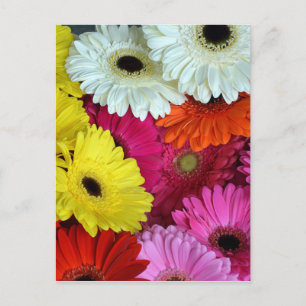 Kleurrijke kierbloemen briefkaart