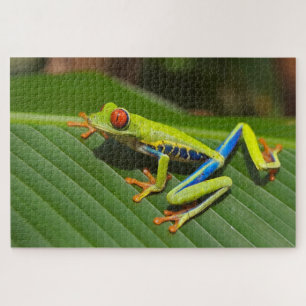 Kleurrijke kleine kikker legpuzzel