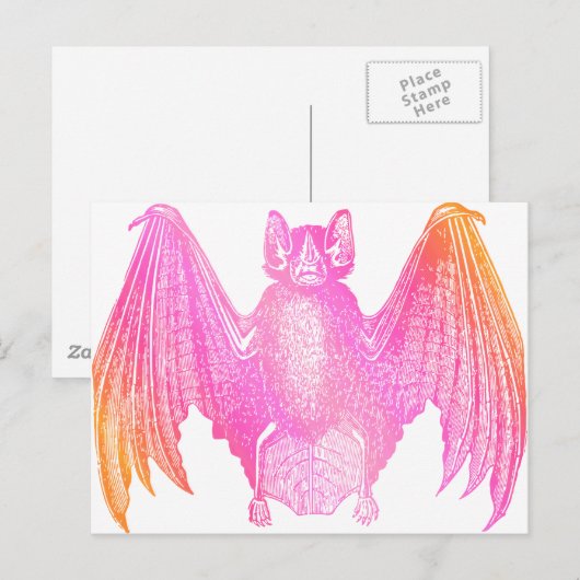 Kleurrijke Knuppel Briefkaart (Voorkant / Achterkant)